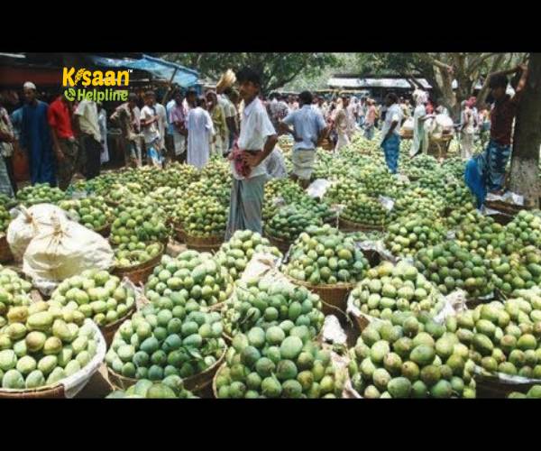 भारत में सबसे अधिक आम का उत्पादन उत्तर प्रदेश में होता है जानिए कितना